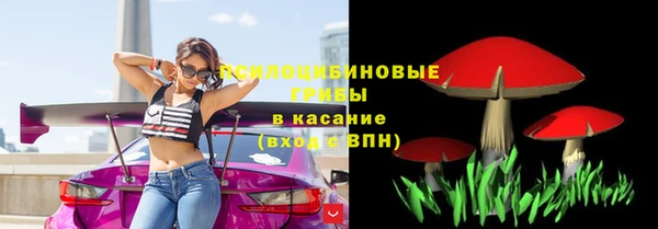 шишки Алзамай