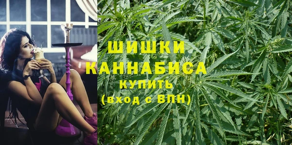 шишки Алзамай